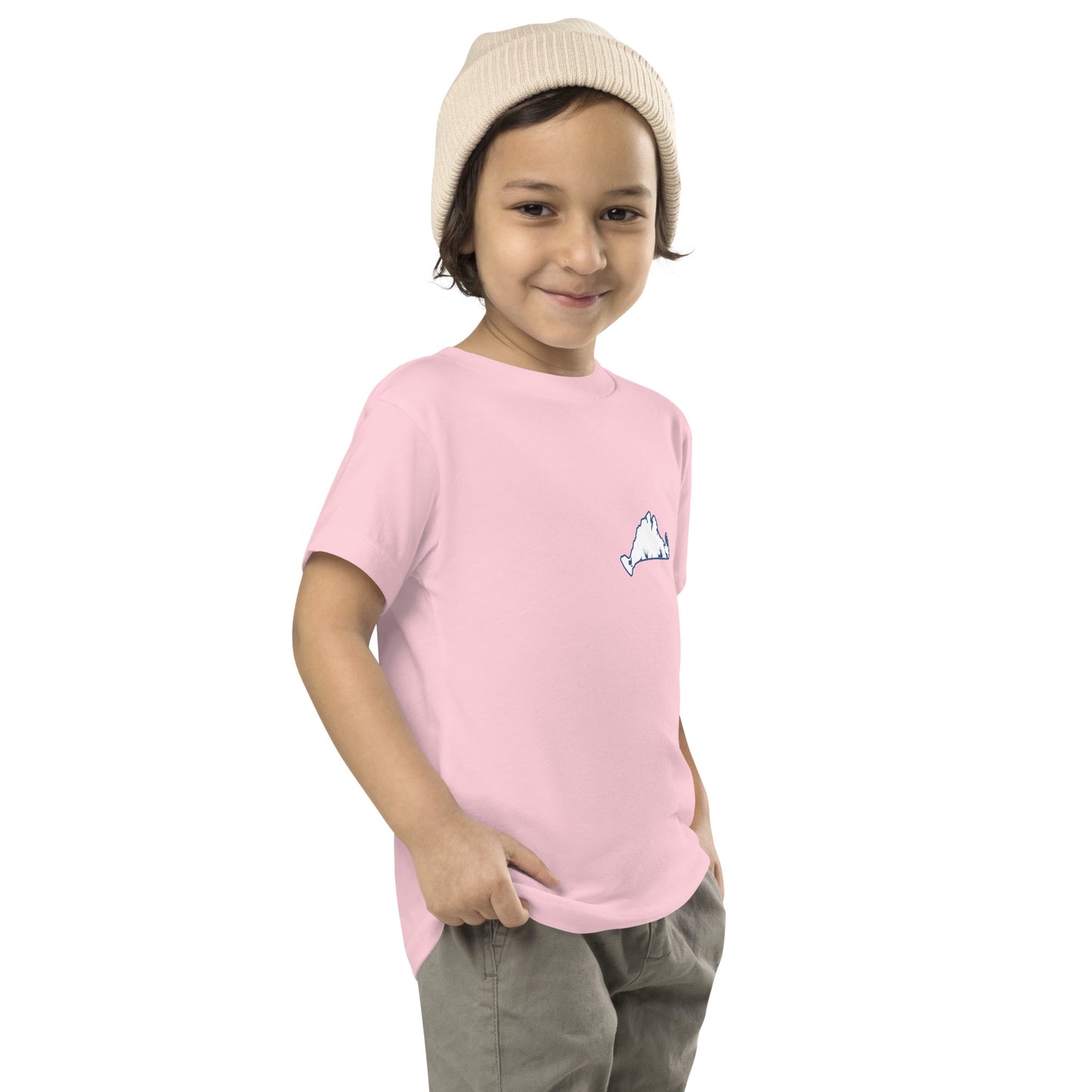 Chilmark Beaches Toddler Tee2