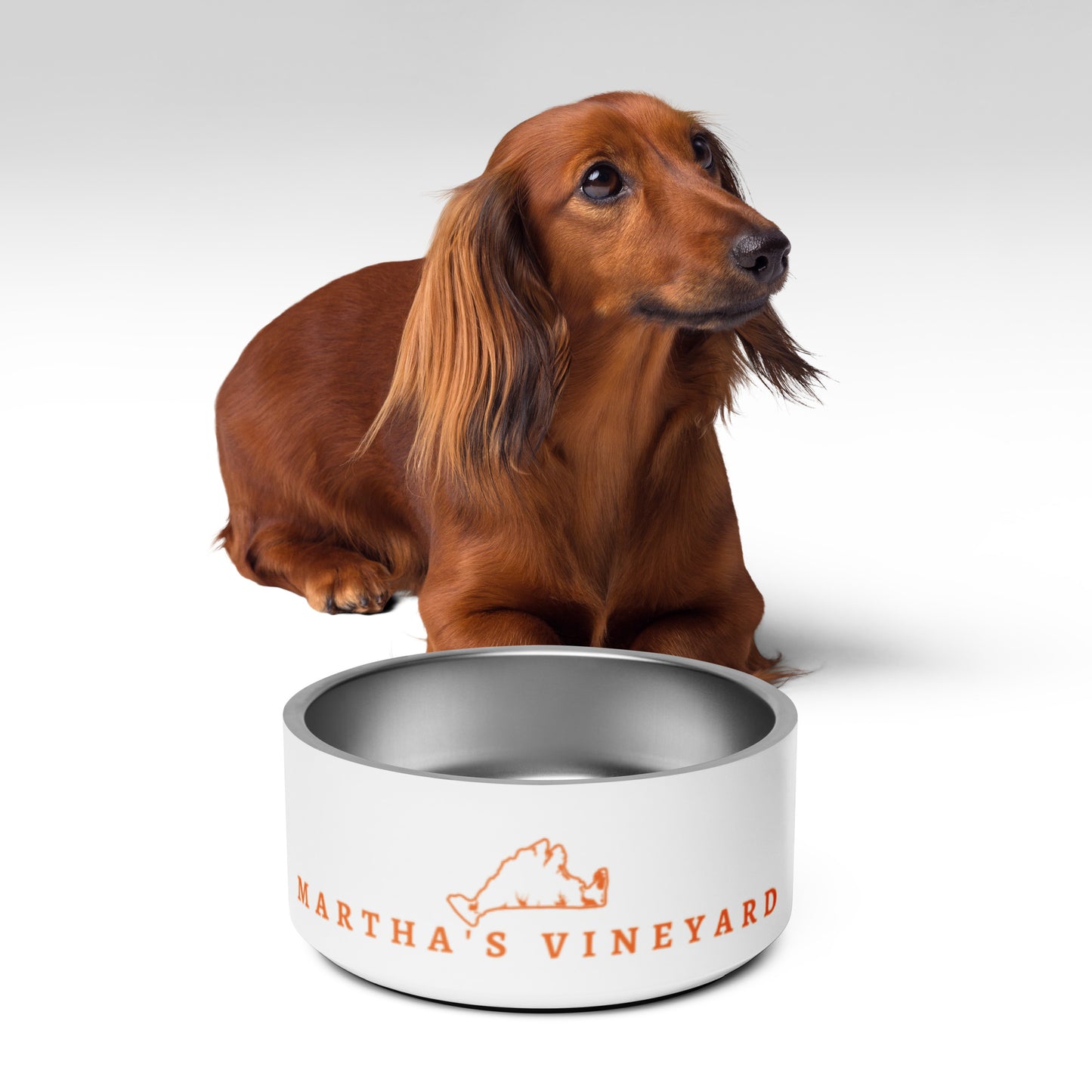 MV Pet bowl