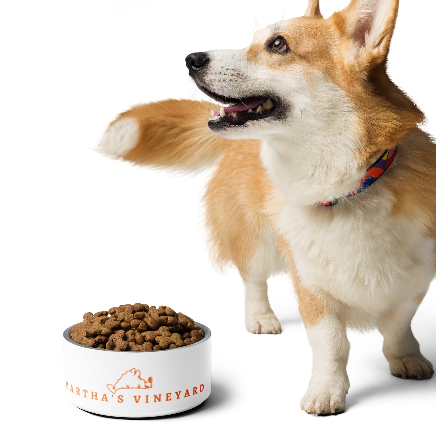 MV Pet bowl